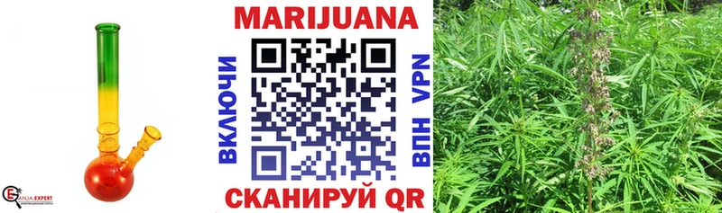 Конопля индика Струнино